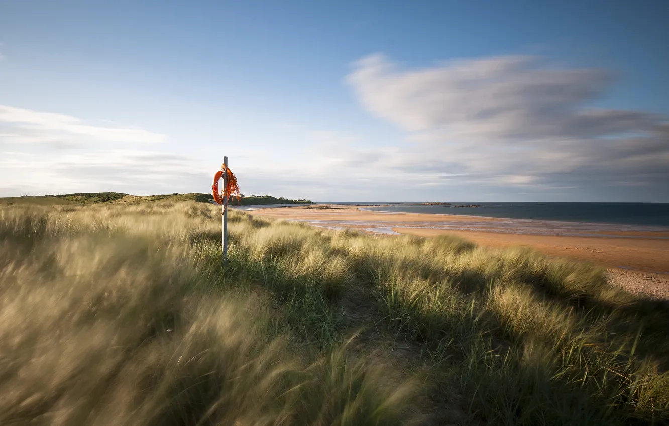 Photo wallpaper sand, sea, grass, shore, England, UK, lifeline