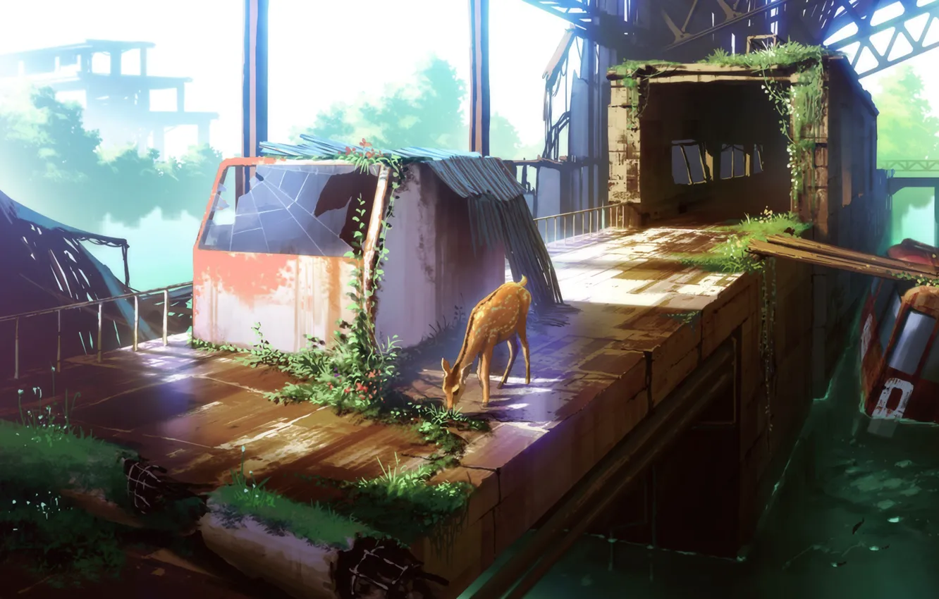 Photo wallpaper glass, water, landscape, Board, deer, the tunnel, ruins, platform