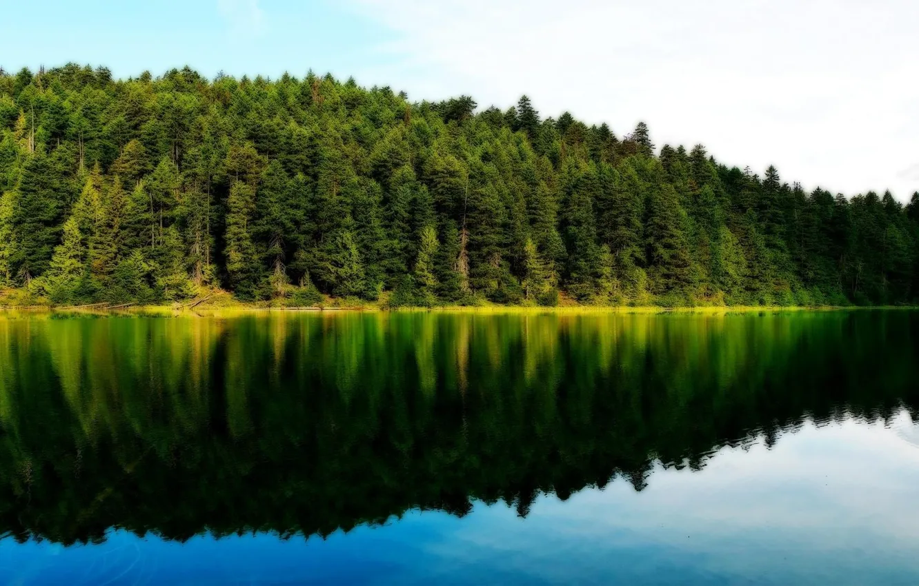 Photo wallpaper nature, forest lake, reflection of the forest in the clouds