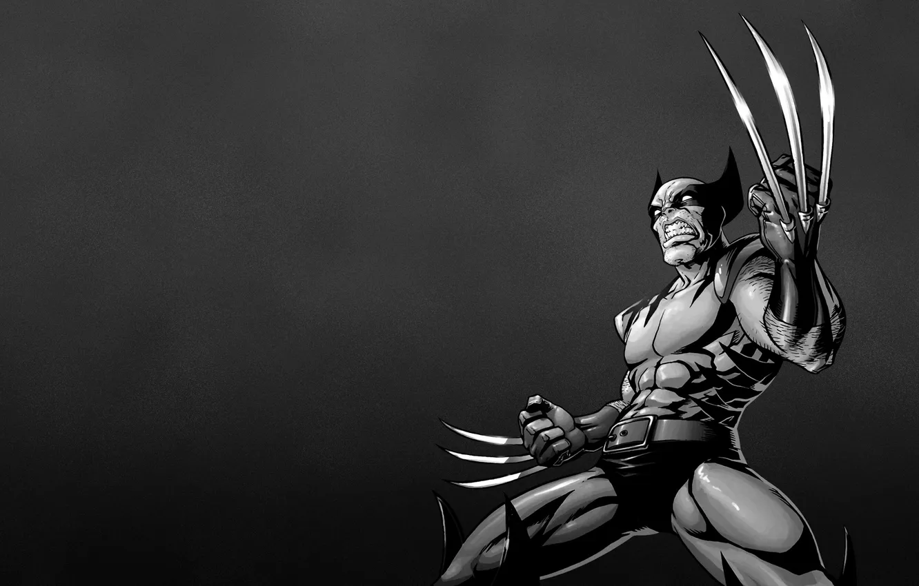 Photo wallpaper Wolverine, Logan, x-men, Wolverine, Marvel, x-men, Comics