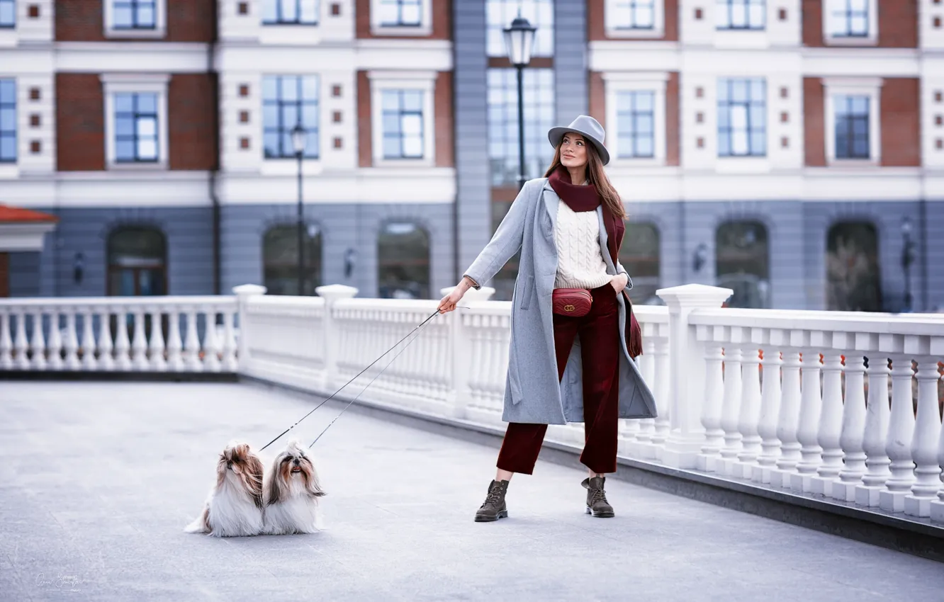 Photo wallpaper dogs, pose, Girl, hat, legs, Diana, Anna Shuvalova