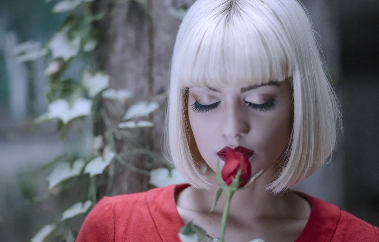 Photo wallpaper flowers, roses, blonde, bangs, Nayara Lauren