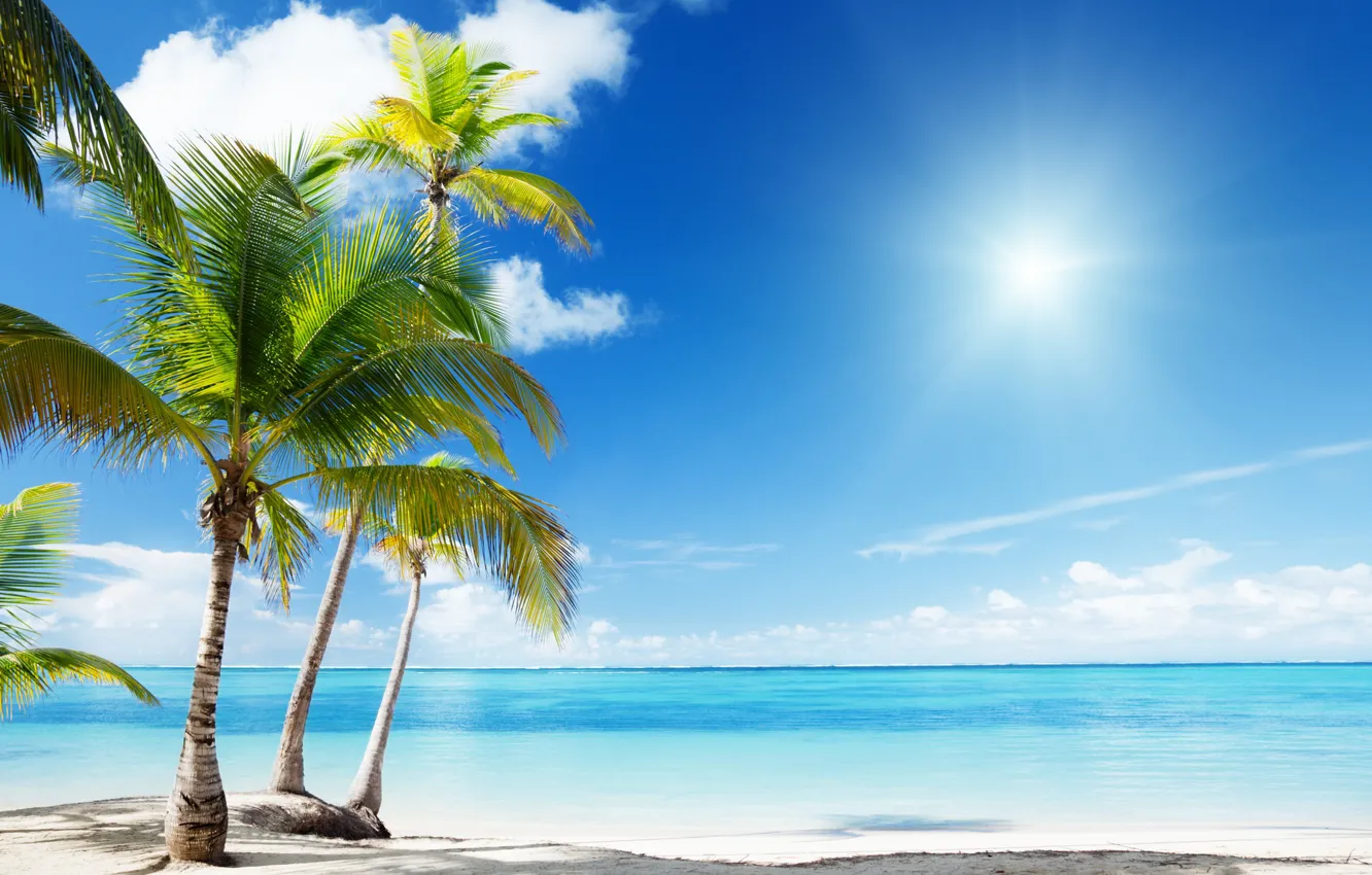 Photo wallpaper beach, nature, palm trees, the ocean, Paradise, exotic