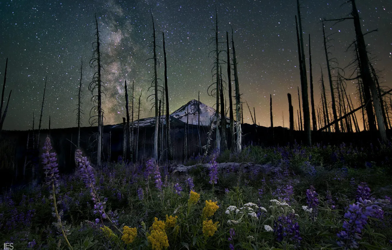 Photo wallpaper the sky, stars, mountains, night, nature