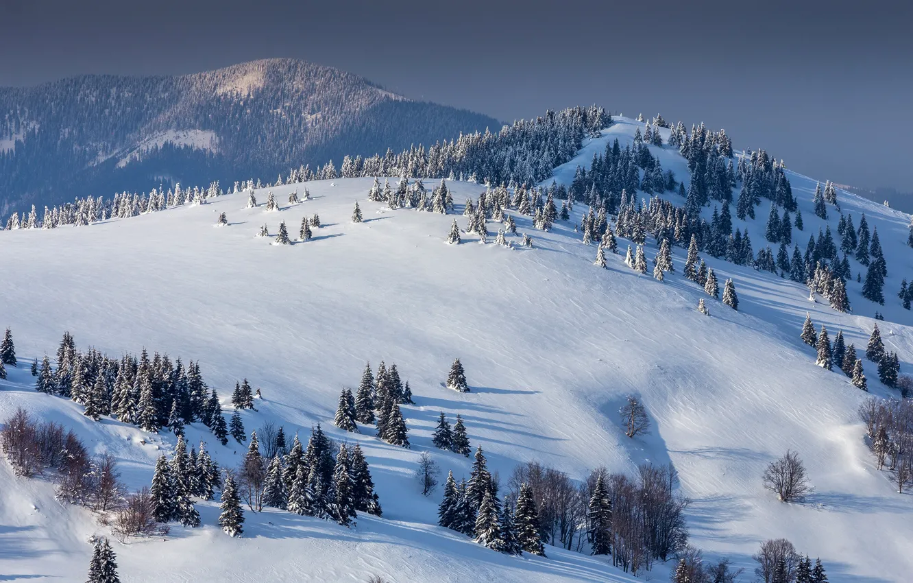 Photo wallpaper winter, forest, the sun, snow, trees, mountains, the view from the top, Slovakia