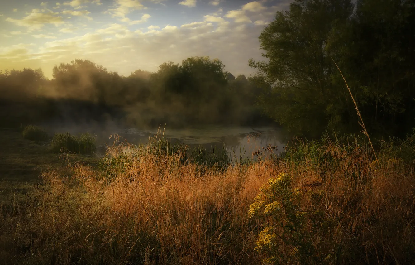 Photo wallpaper autumn, fog, lake, the evening