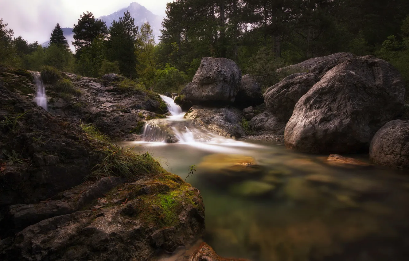 Photo wallpaper forest, nature, stones, rocks, shore, for, waterfall, stream
