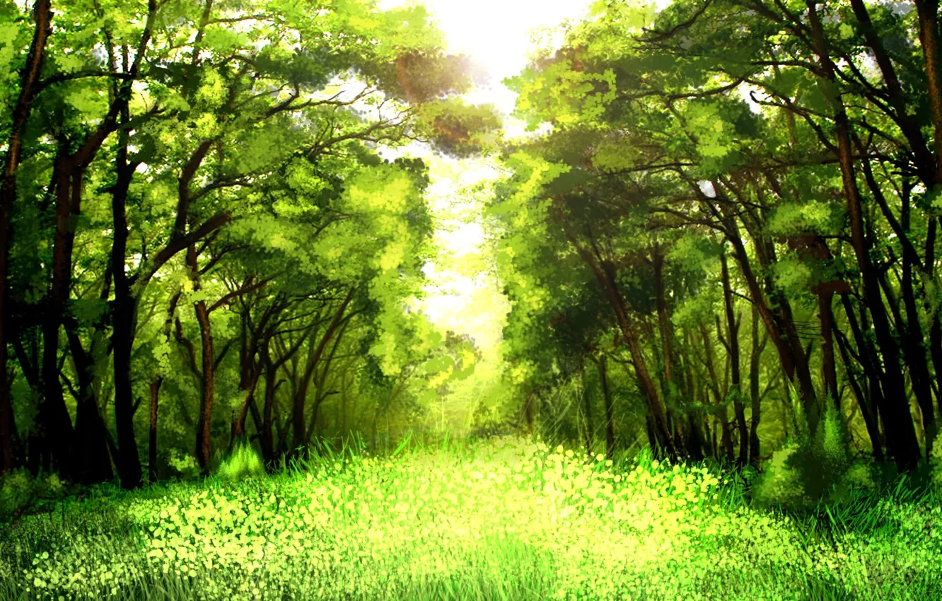 Photo wallpaper greens, forest, grass, trees, nature, art, Sunny