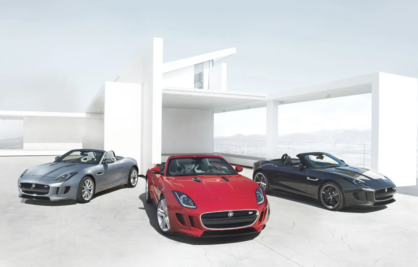 Photo wallpaper red, background, black, Villa, Jaguar, silver, Jaguar, Roadster