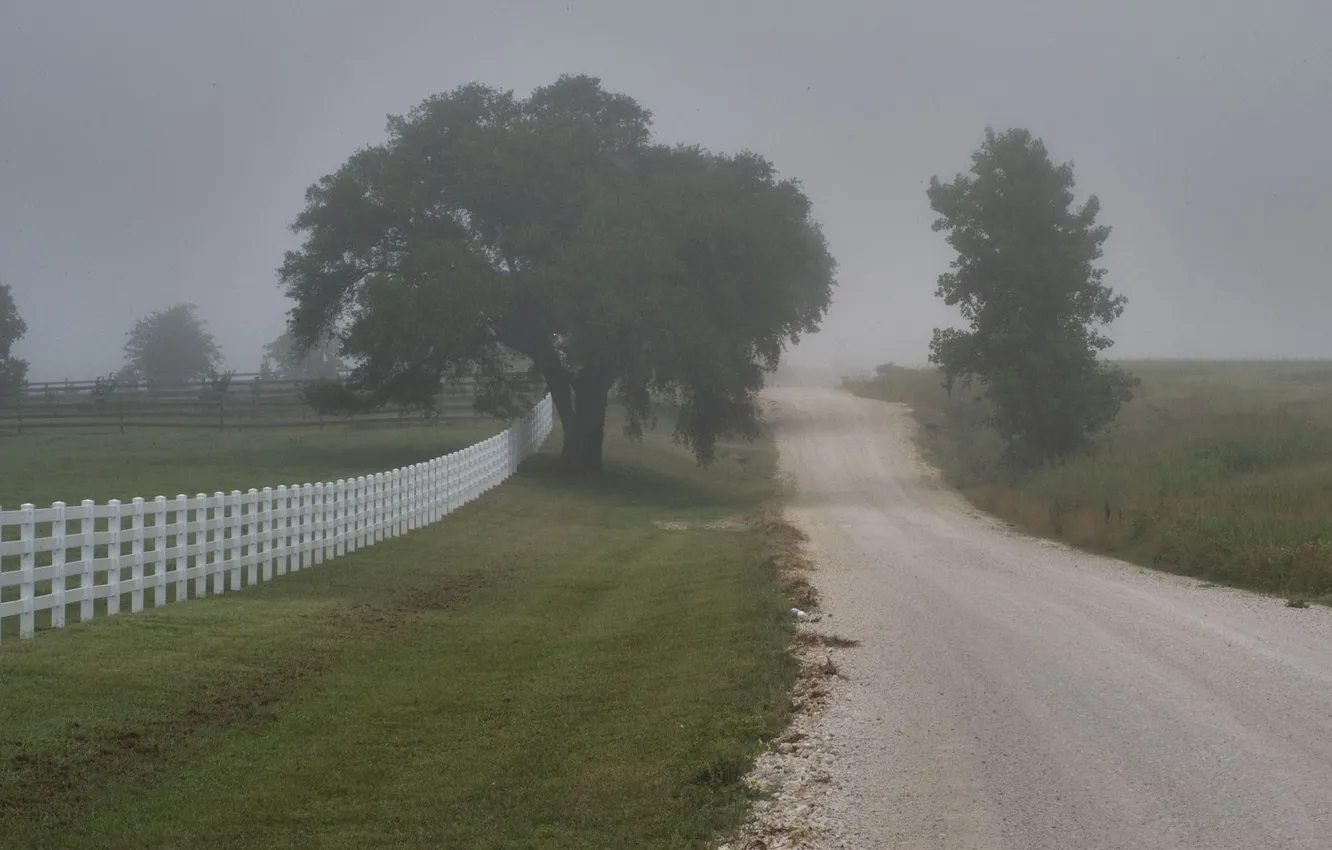 Photo wallpaper road, trees, landscape, nature, fog, the fence