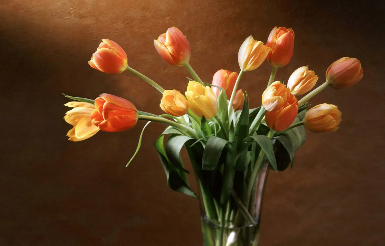 Photo wallpaper wall, yellow, tulips, red, vase, orange