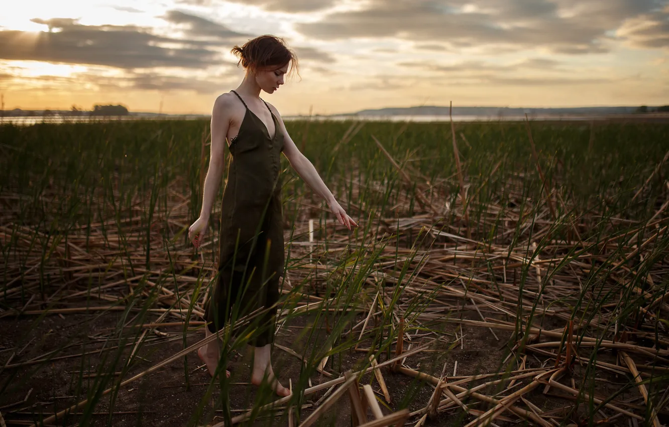 Photo wallpaper girl, dress, Vyacheslav Pavlovskiy