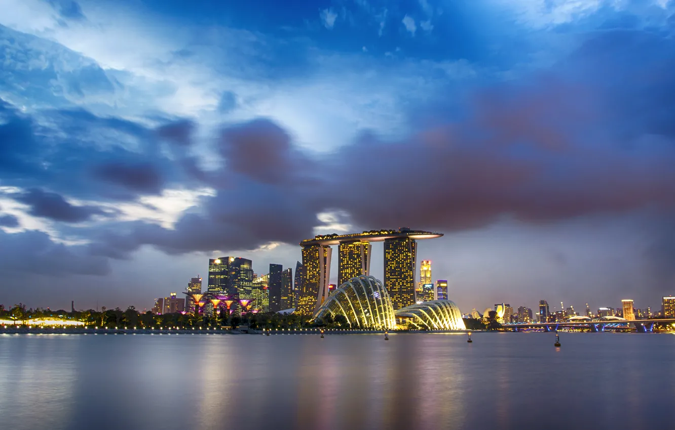 Photo wallpaper the sky, night, clouds, the city, Bay, Singapore, Singapore, Gardens by the Bay