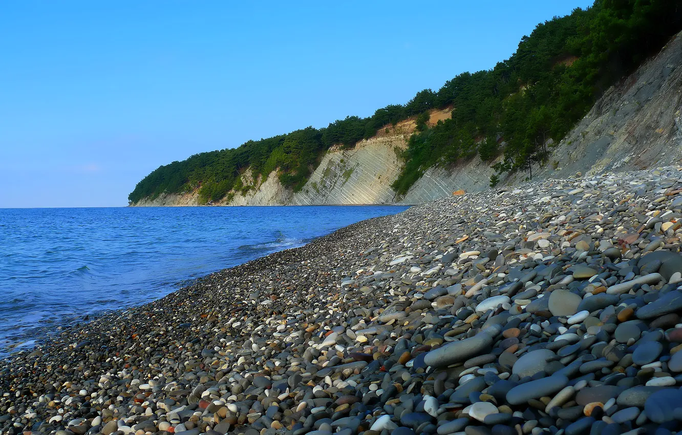 Photo wallpaper sea, beach, stones, the bushes