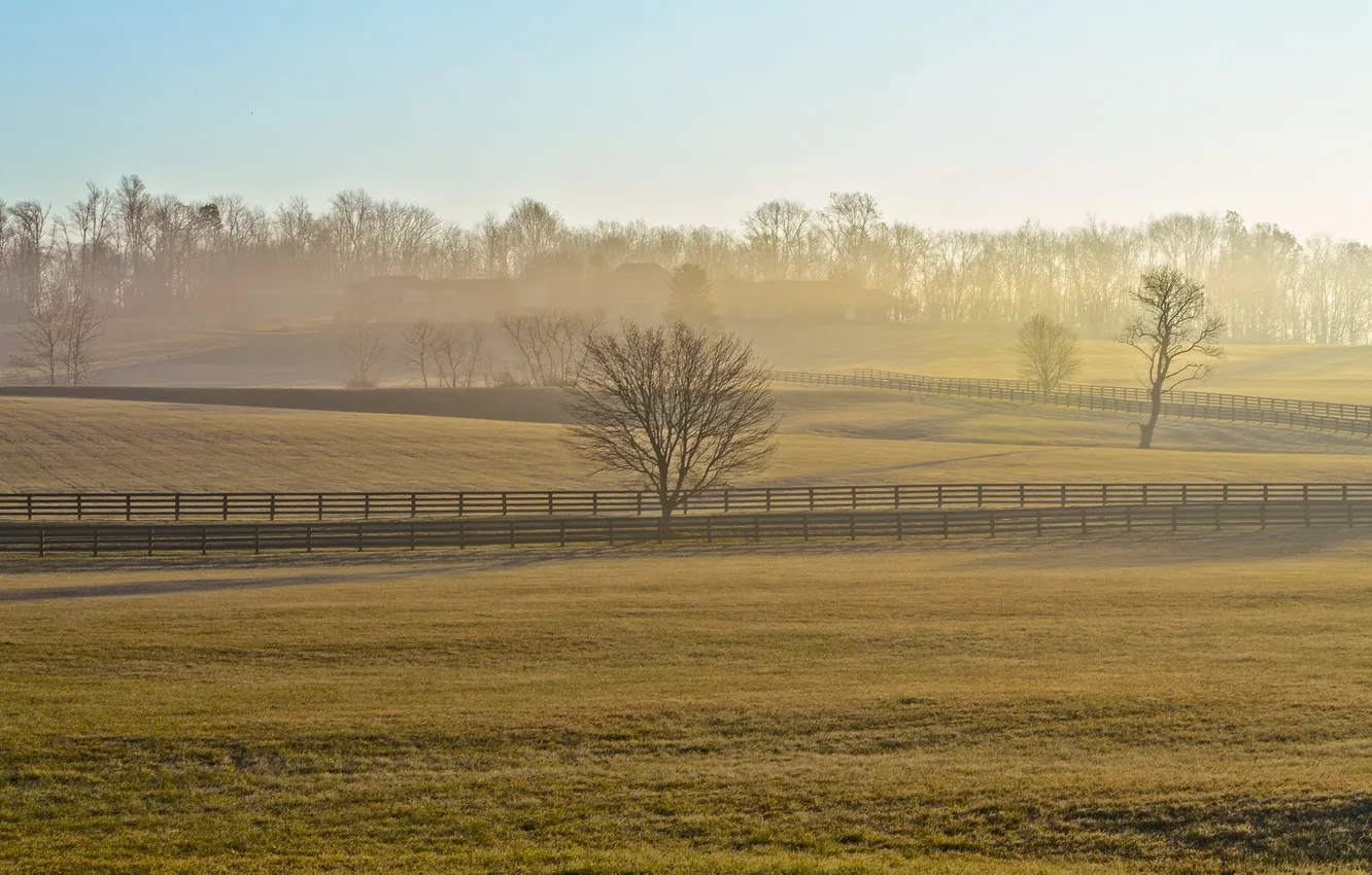 Photo wallpaper field, fog, the fence