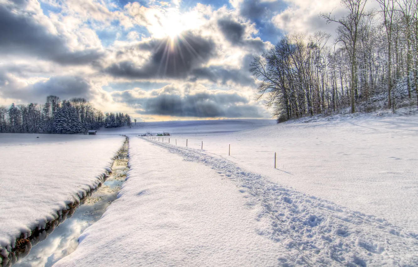 Photo wallpaper winter, the sun, snow, nature