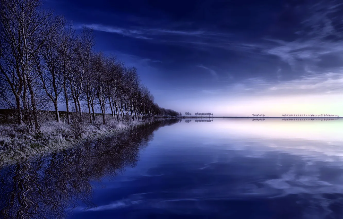 Photo wallpaper trees, landscape, lake, morning
