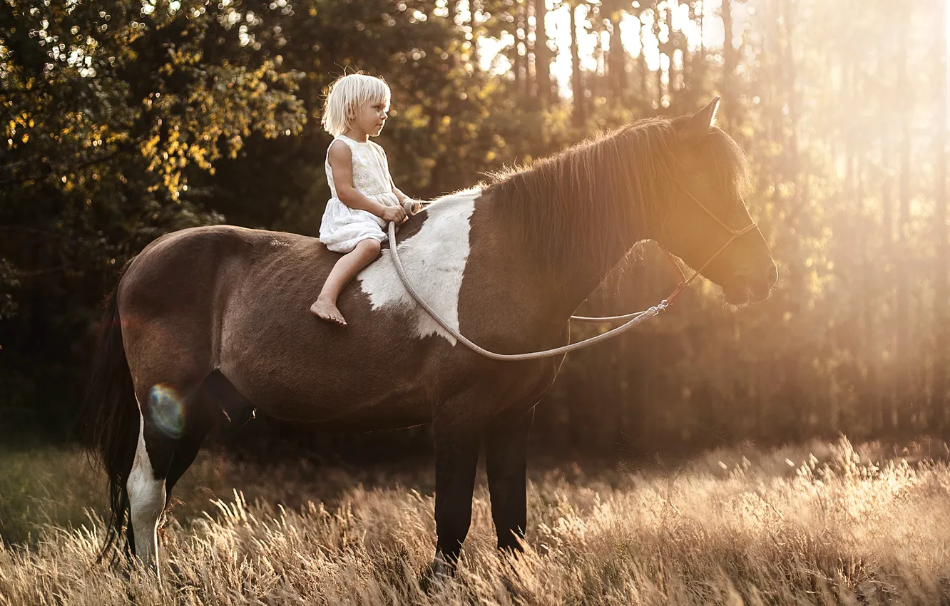 Photo wallpaper light, horse, girl