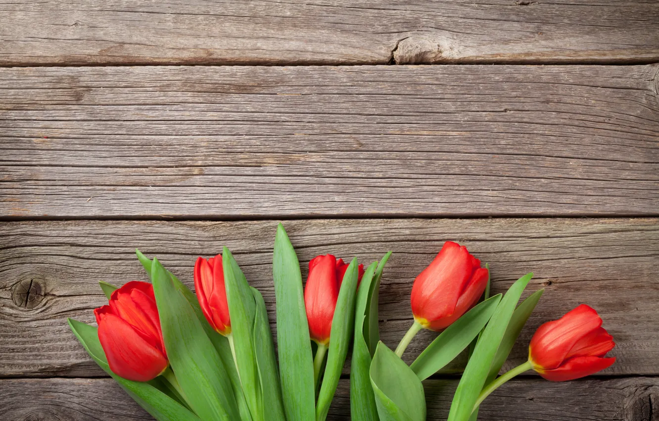 Photo wallpaper flowers, bouquet, tulips, red, love, wood, flowers, romantic