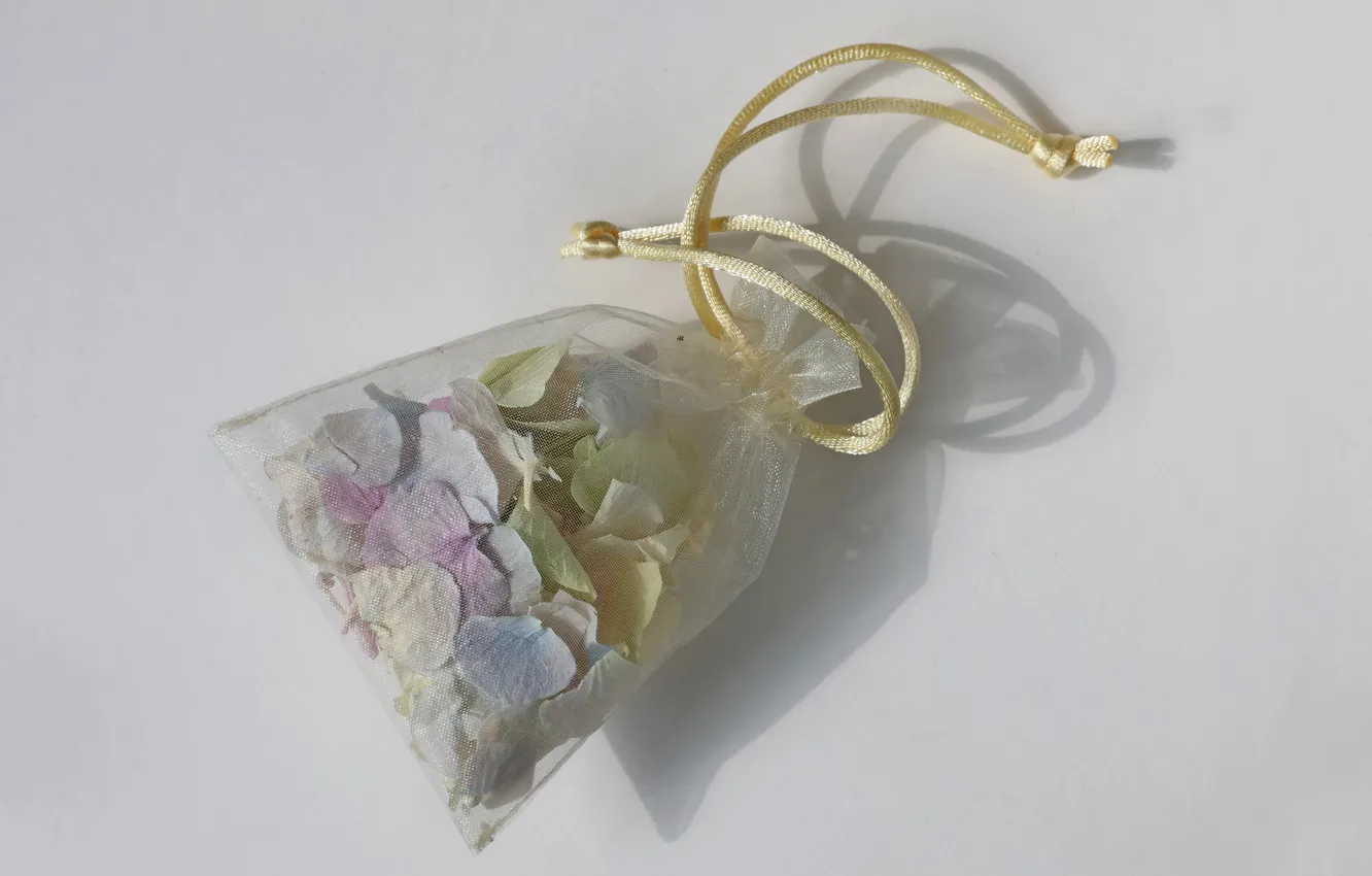 Photo wallpaper shadow, petals, thread, pouch, flavor