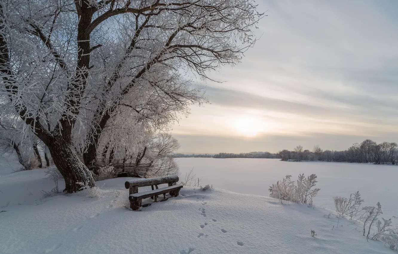 Photo wallpaper winter, snow, trees, landscape, nature, river, shore, bench