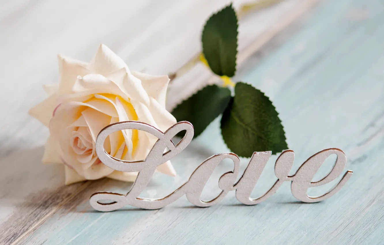 Photo wallpaper love, text, roses, Kriscole