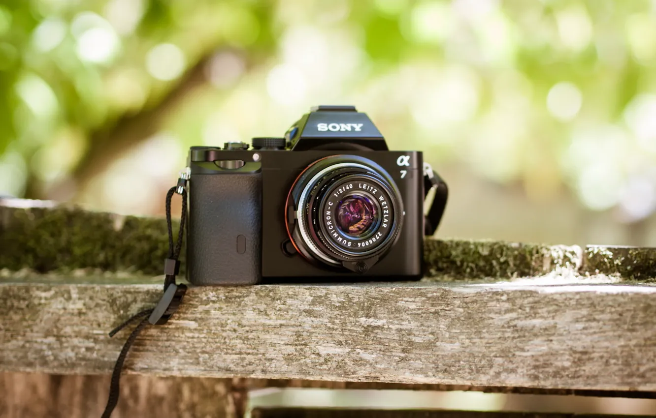 Photo wallpaper macro, camera, Sony A7, Leica 40mm f2 Summicron-C