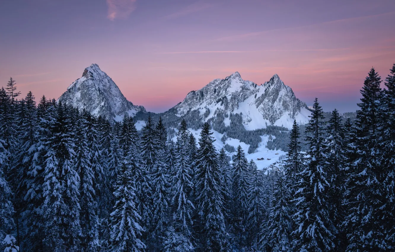 Photo wallpaper winter, forest, the sky, snow, trees, mountains, nature, rocks