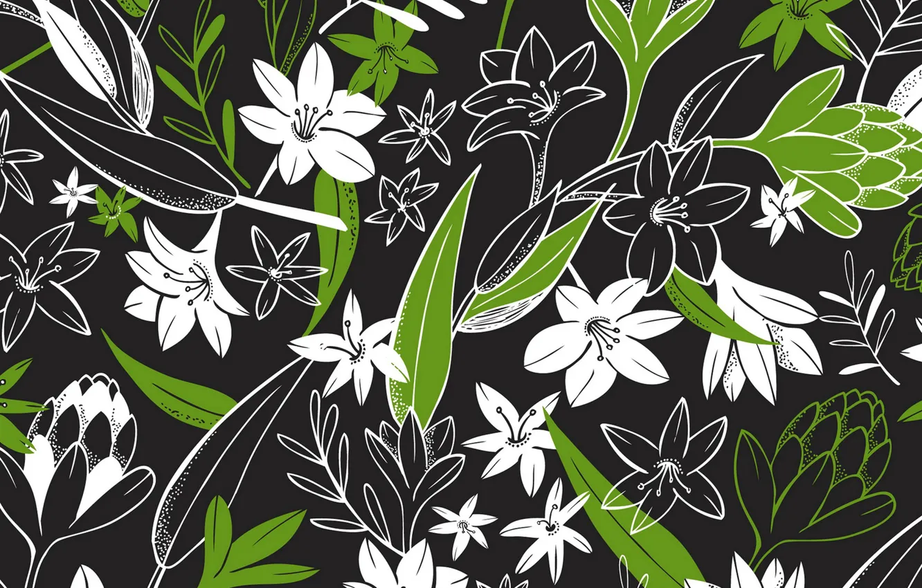 Photo wallpaper background, color, form