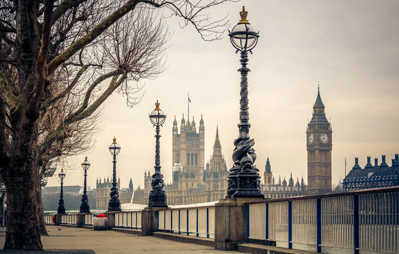 Photo wallpaper trees, river, London, lights, UK, Thames, Big Ben, promenade