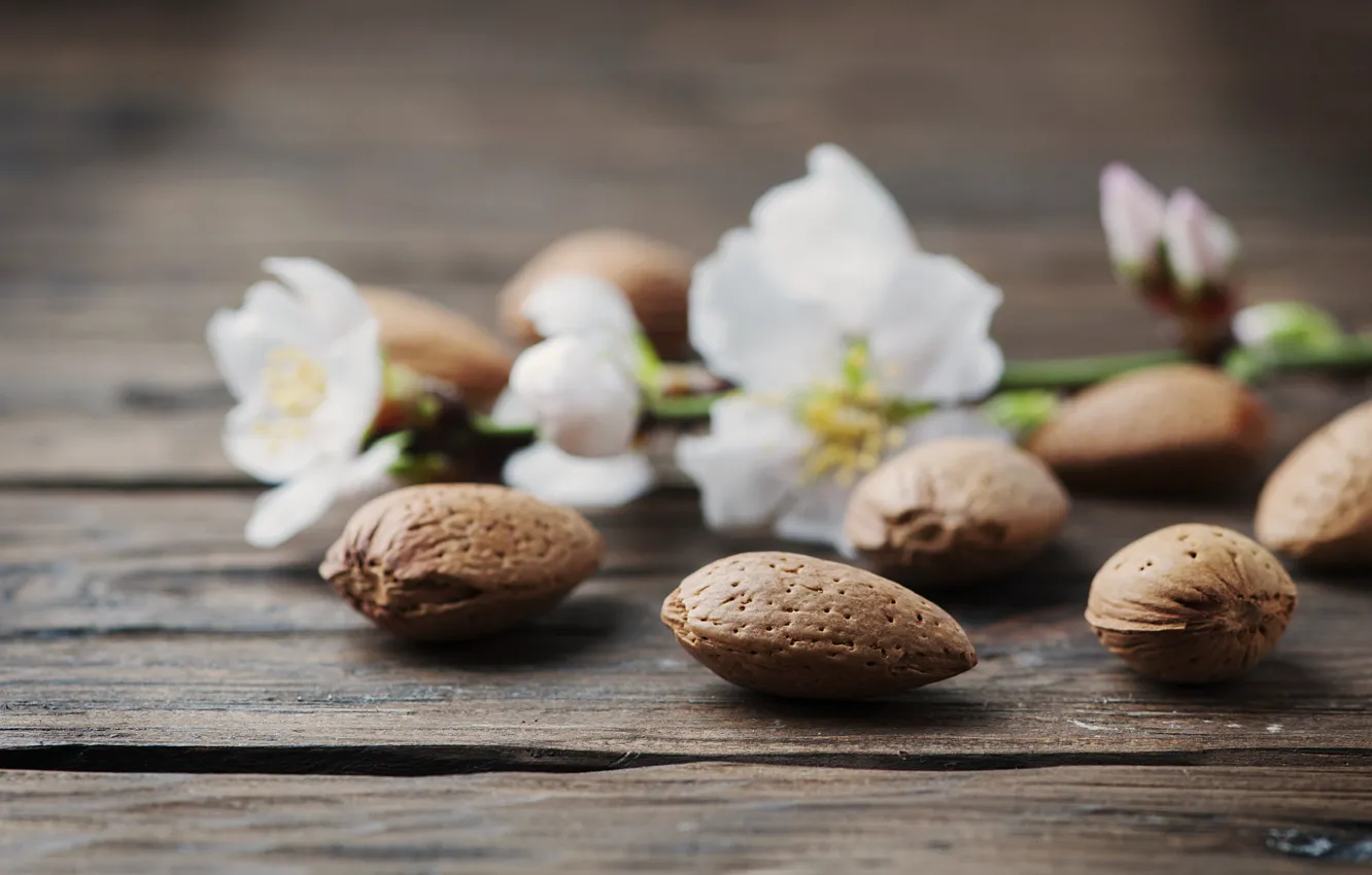 Photo wallpaper flowers, Board, nuts, almonds