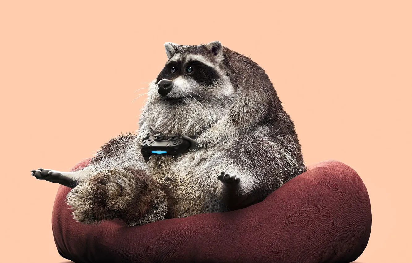 Photo wallpaper figure, graphics, chair, raccoon, joystick, beast, sitting, plays