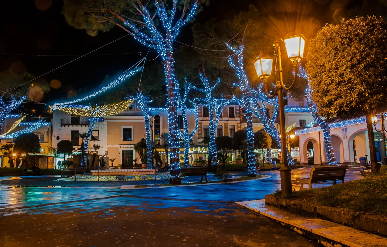 Photo wallpaper trees, bench, night, design, lights, holiday, street, new year