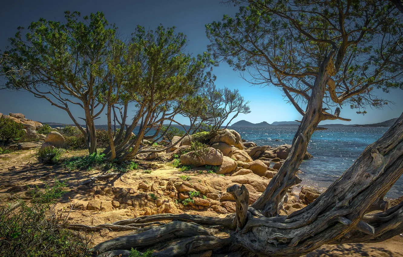Photo wallpaper sea, the sun, trees, stones, coast, Italy, the bushes, Sardinia
