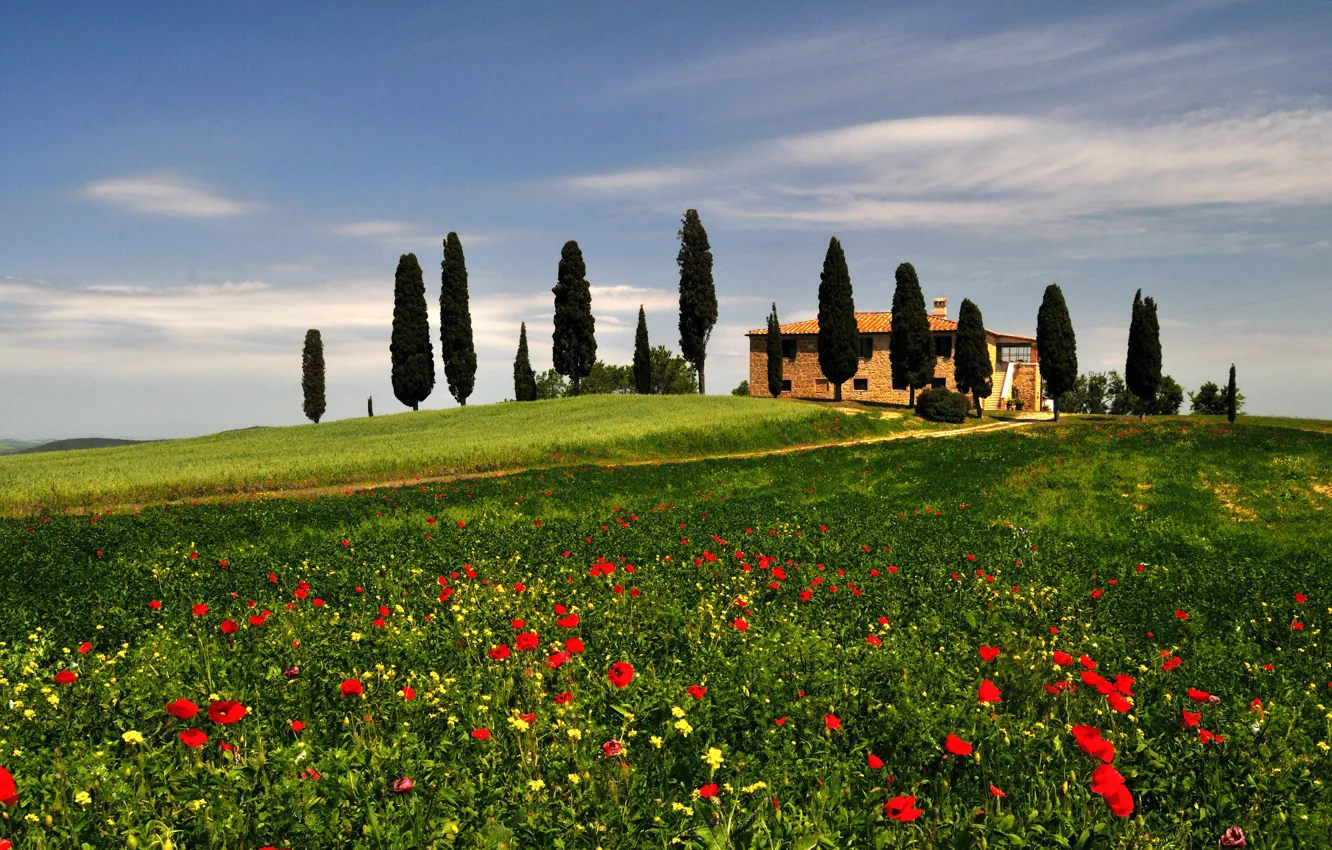 Photo wallpaper grass, trees, house, hills, Maki, meadow, Italy, Tuscany