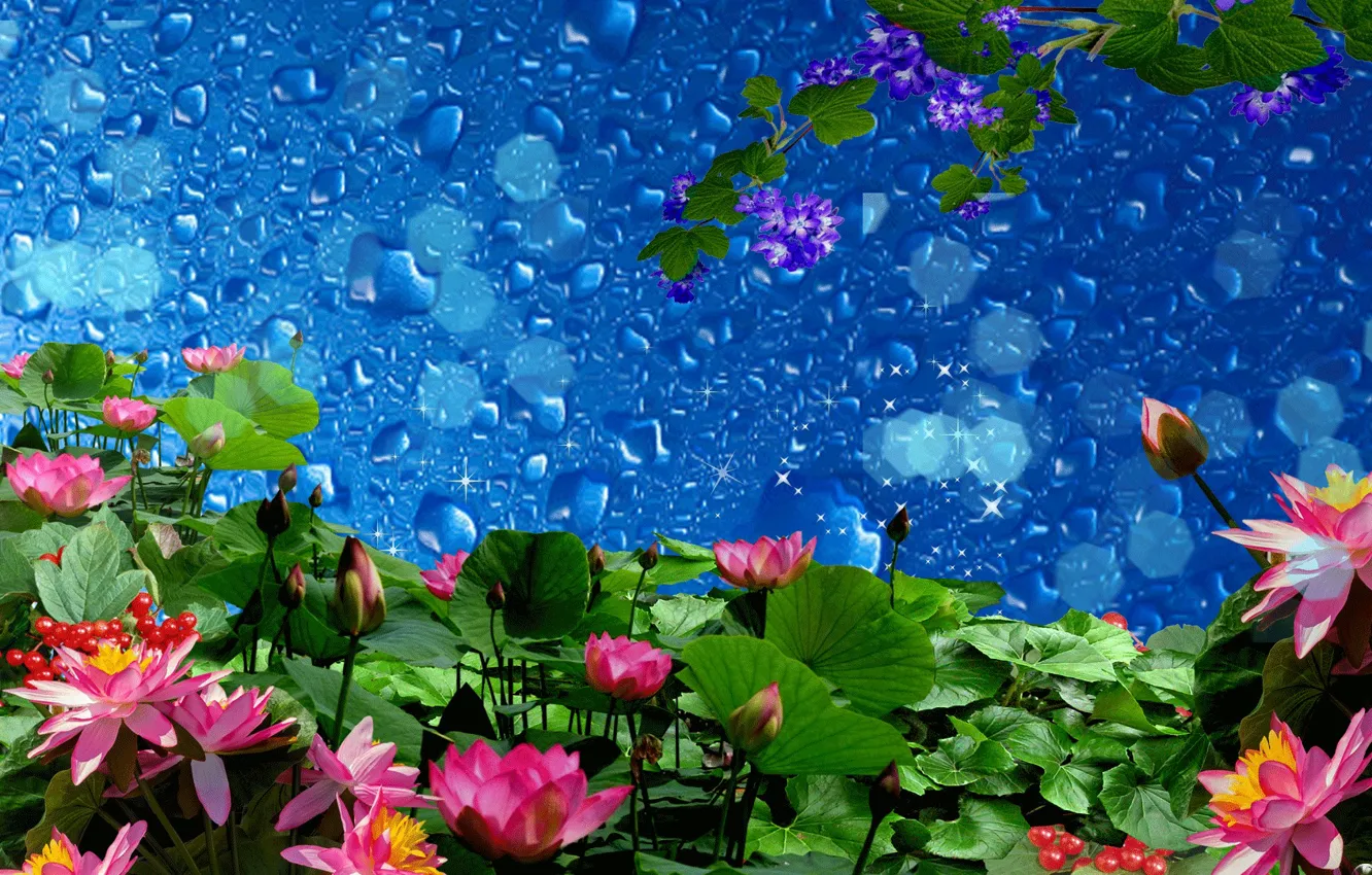 Photo wallpaper nature, Lily, Lotus, water lilies