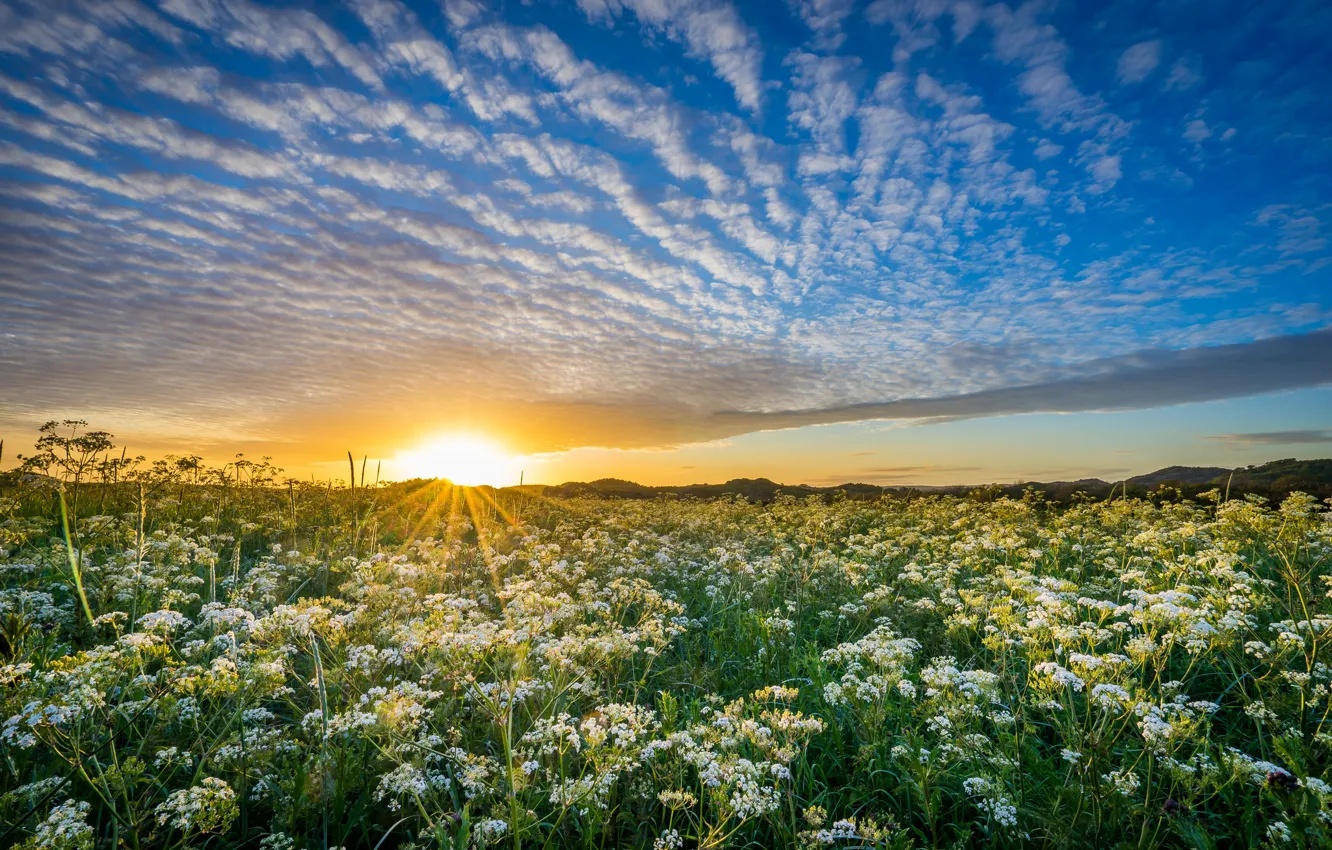 Photo wallpaper clouds, sunset, meadow, Norway, Norway, Rogaland, 'ogna, cunty