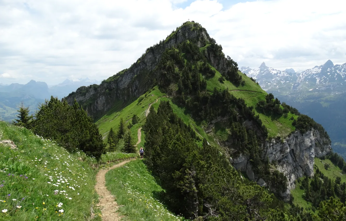 Photo wallpaper forest, the sky, clouds, trees, landscape, nature, rocks, plant