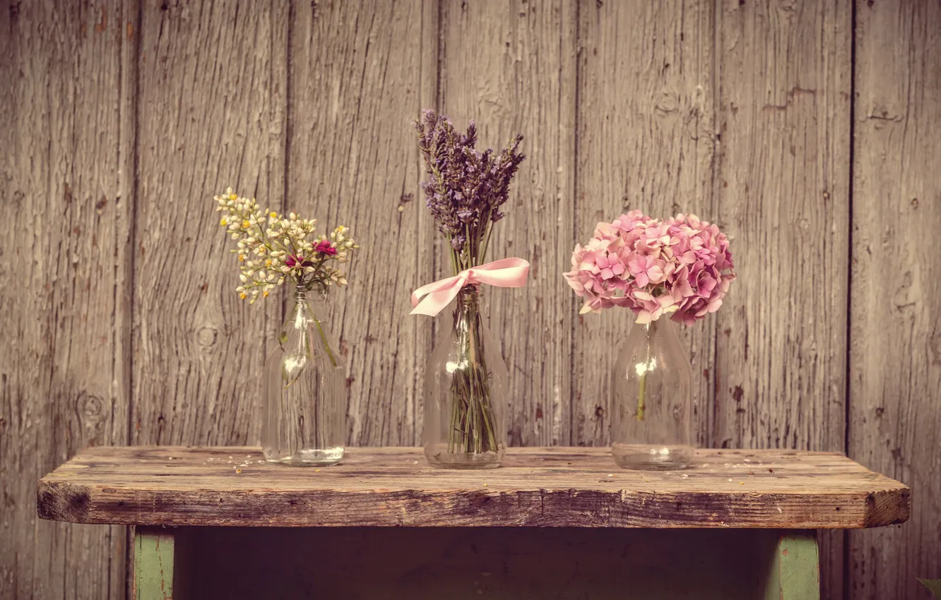 Photo wallpaper flowers, petals, still life, lavender