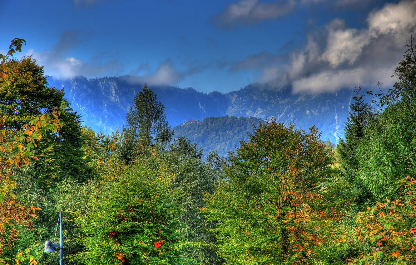 Photo wallpaper forest, clouds, trees, mountains