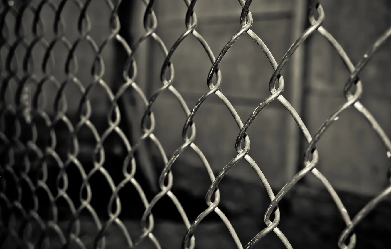 Photo wallpaper darkness, mesh, sadness