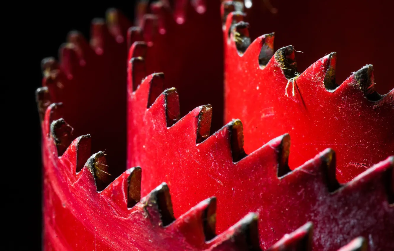 Photo wallpaper macro, background, Cutting edge