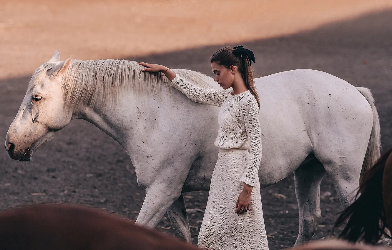 Photo wallpaper white, girl, horse, horse, walk, white dress