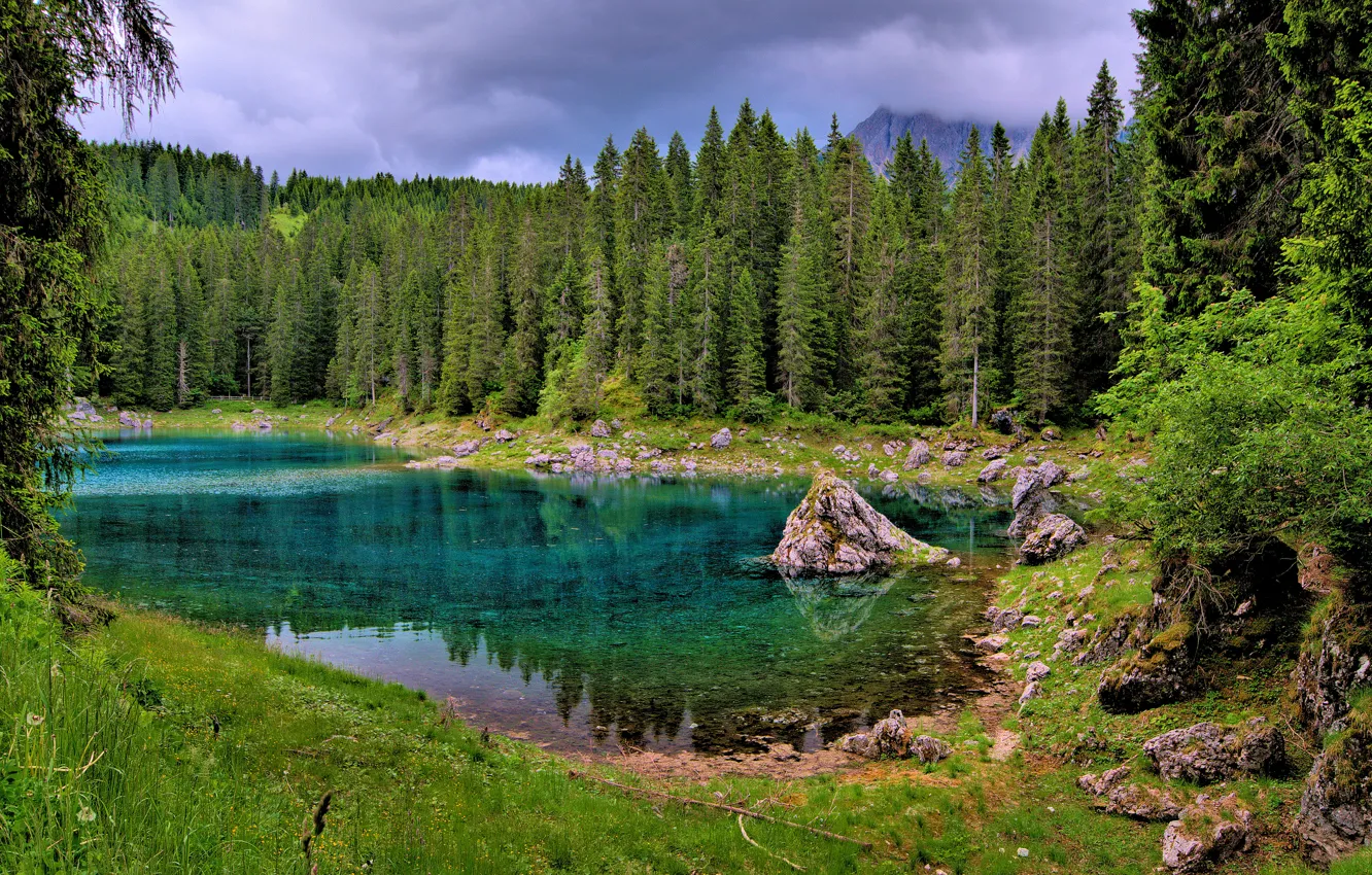 Photo wallpaper forest, clouds, trees, mountains, lake, stones