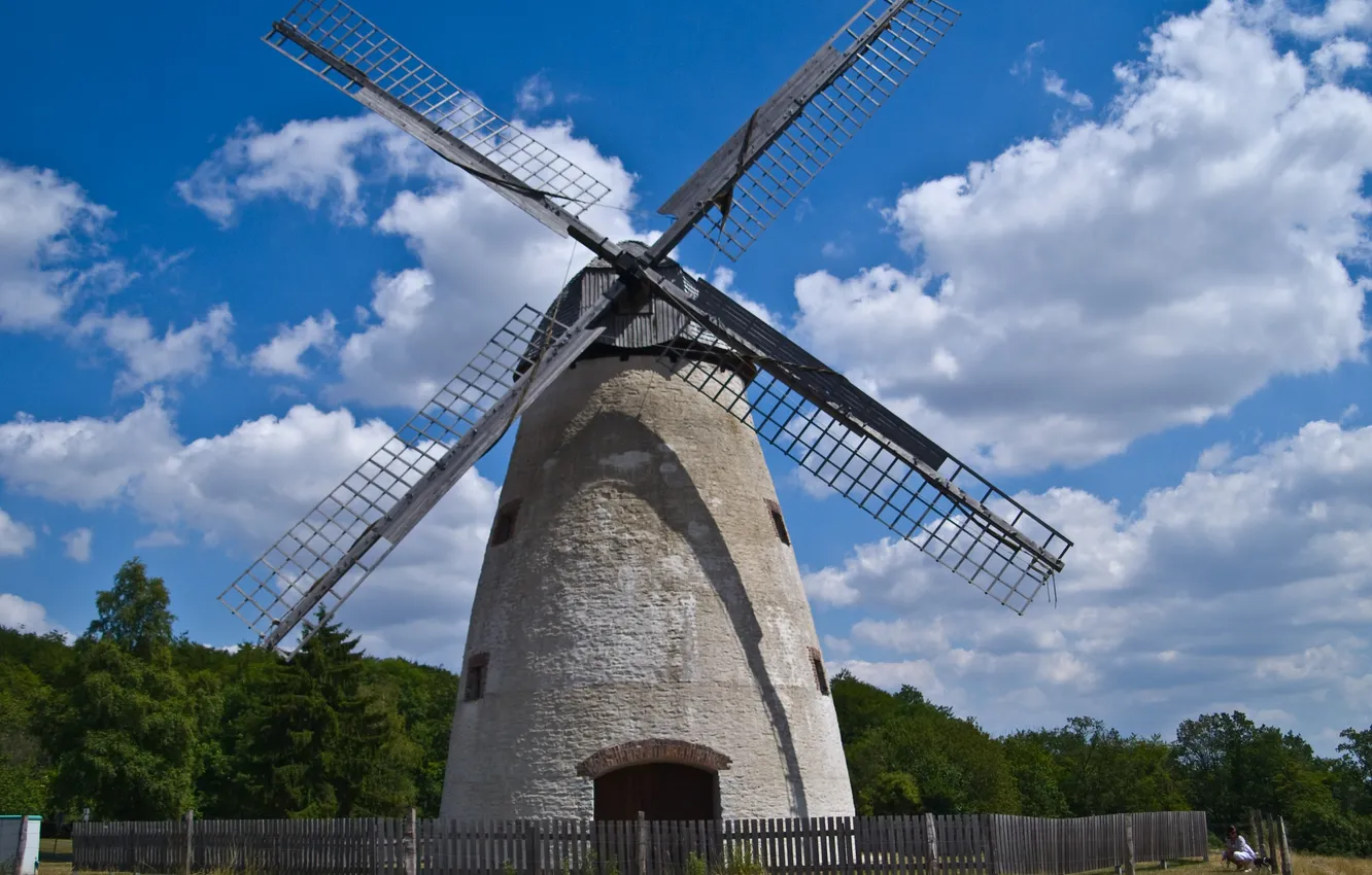 Photo wallpaper forest, the sky, clouds, landscape, nature, forest, sky, landscape