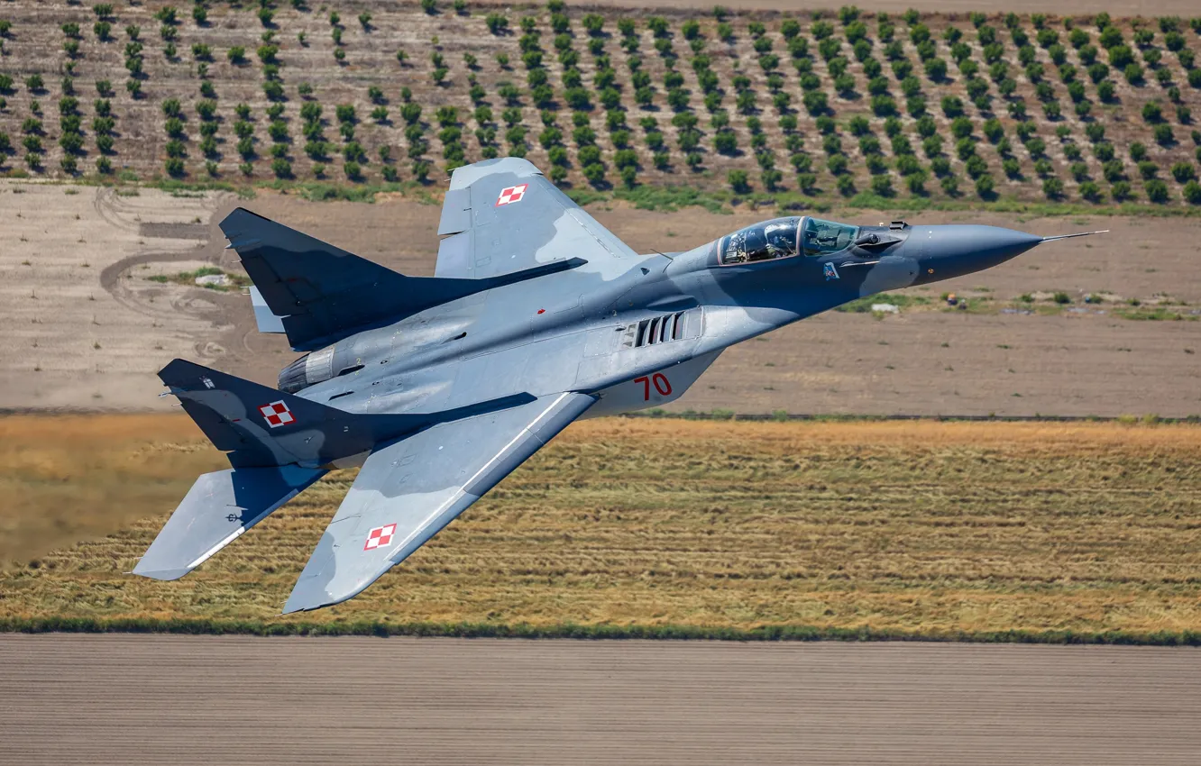 Photo wallpaper The MiG-29, multi-role fighter, Polish air force