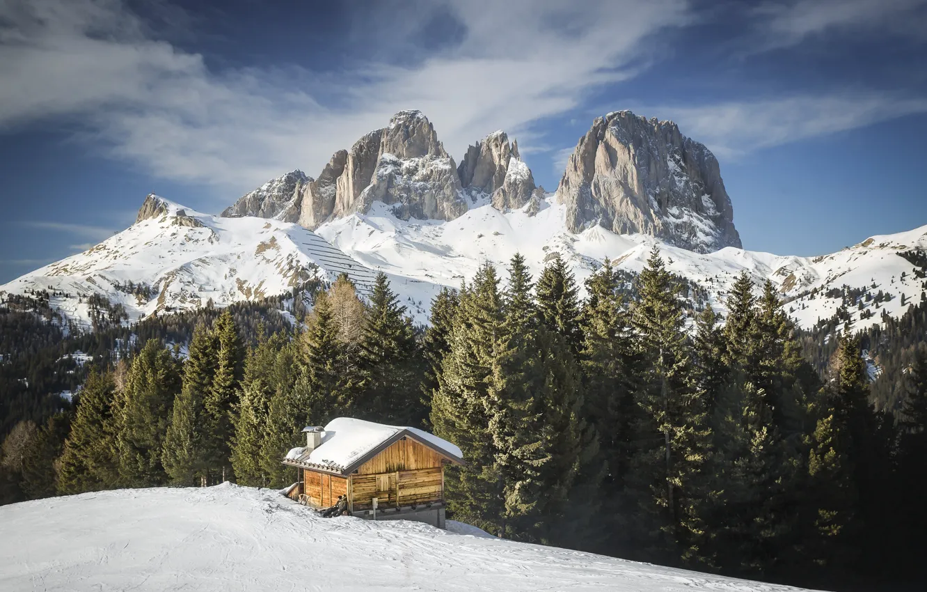 Photo wallpaper winter, forest, mountains, house