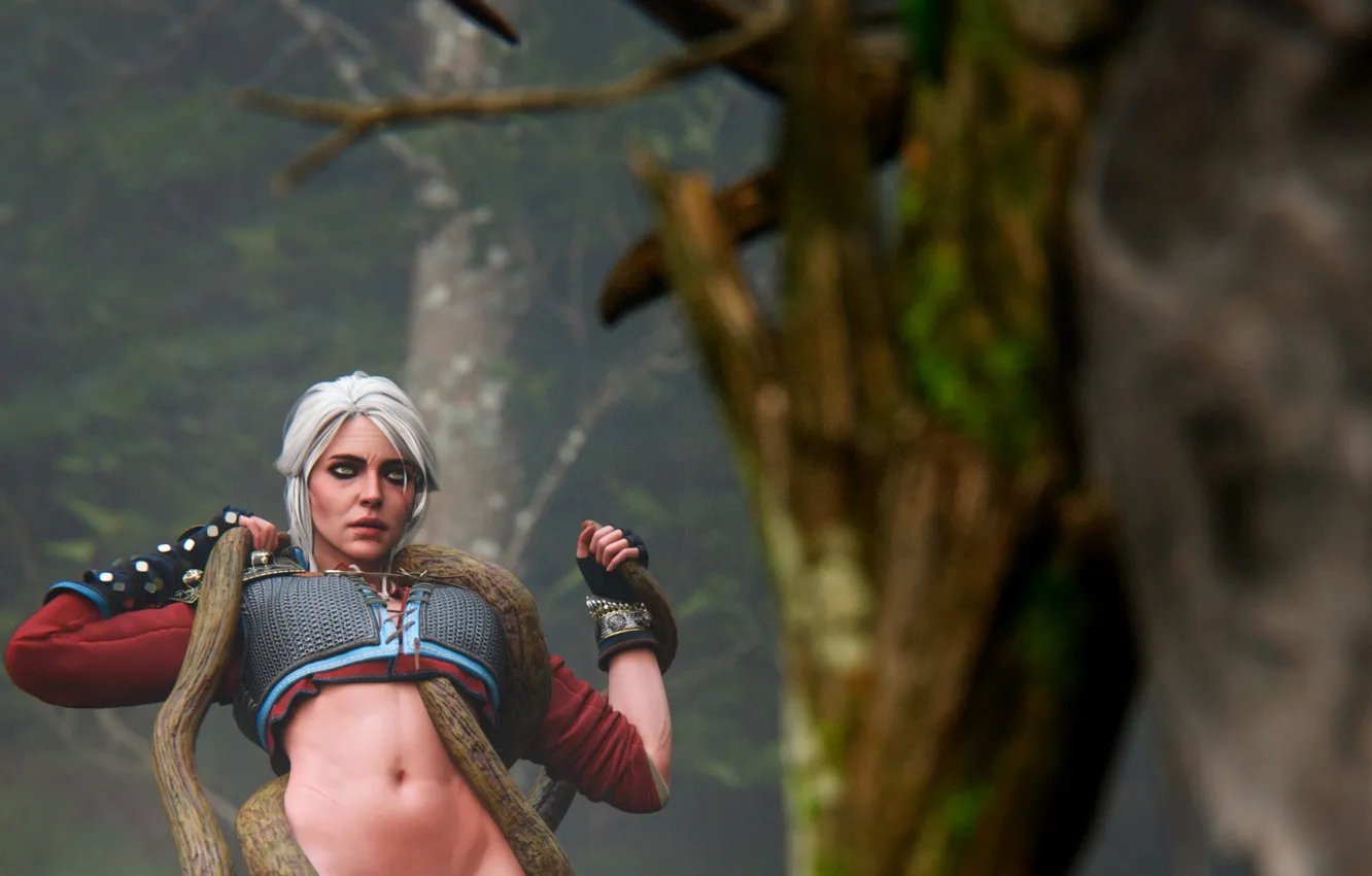 Photo wallpaper 3d art, The witcher, 3D Art, Ciri, NYC, HENTAI, I was Art, Spirit of the …