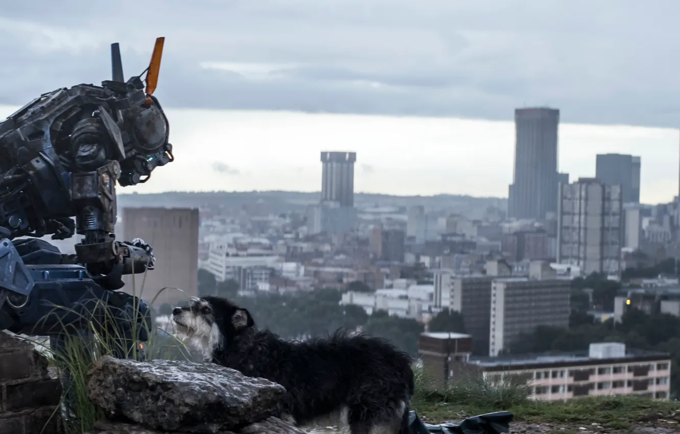 Photo wallpaper Chappie, The robot named Chappy, I am wonder, I am discovery, I am chappie
