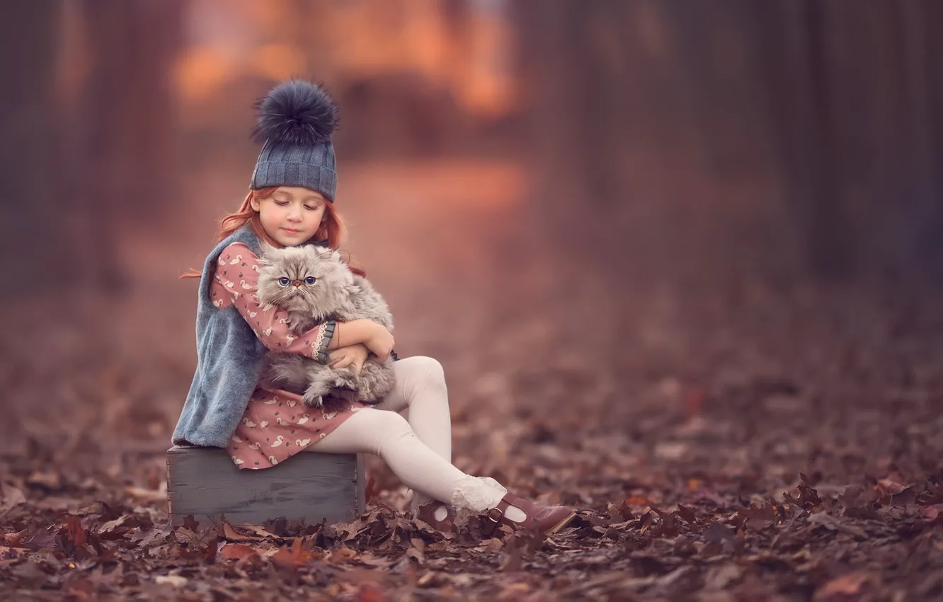 Photo wallpaper autumn, each, girl, kitty, cap, bokeh